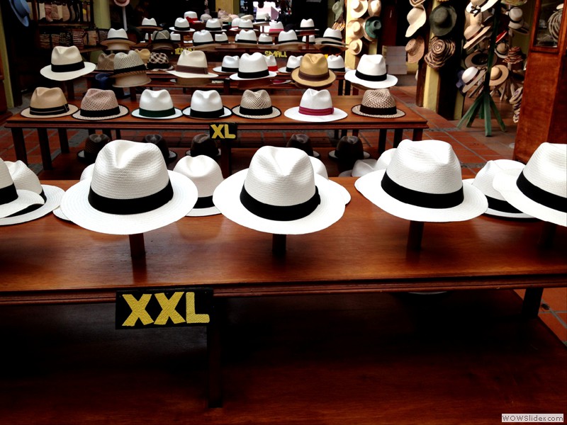 Cuenca Panama Hats